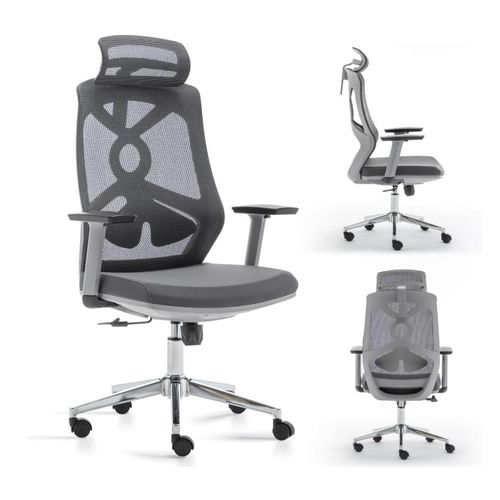 Ergonomic Office Chair